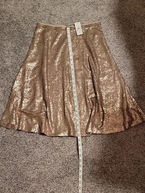 Ann Taylor Gold Sequin Circle Skirt